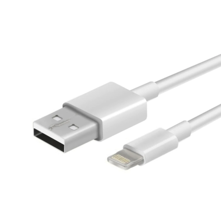 CABLE USB LIGHTNING 10FT IPHONE  ARG-CB-0040
